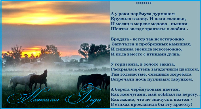 image ЧЕРЁМУХА (700x379, 329Kb)