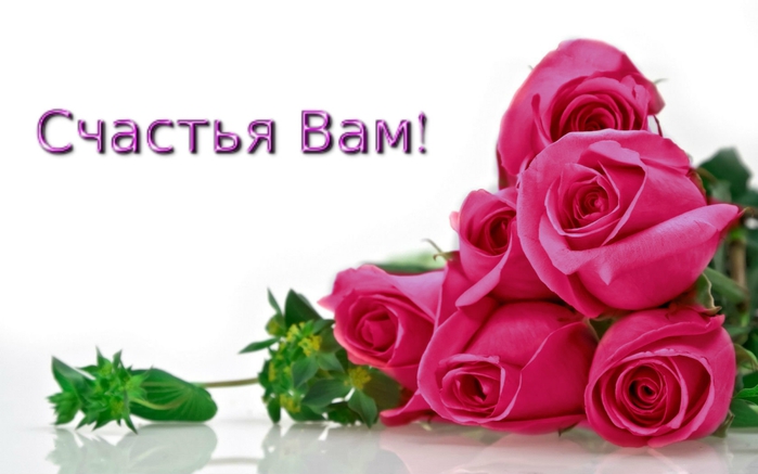 5896810_sc (700x437, 143Kb)