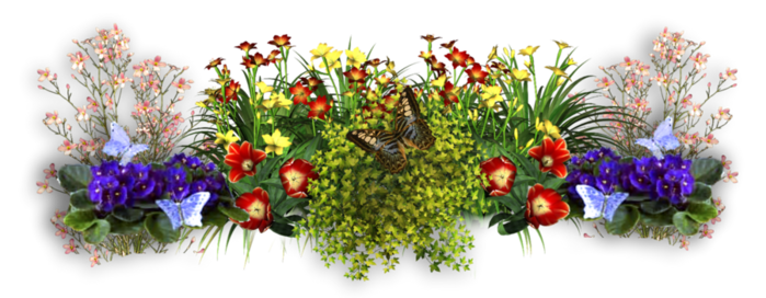 flowers-2.png3 (700x272, 331Kb)