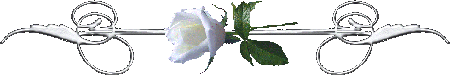 razdel belaya roza (450x75, 10Kb)