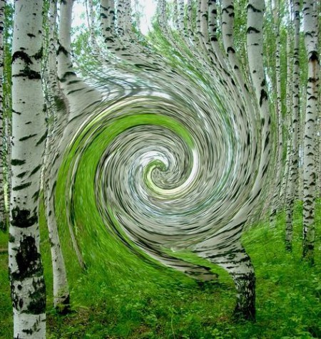 79739731 (450x476, 99Kb)