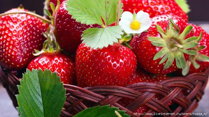 fresh_strawberry_korzinka_klubnika_berries_yagody (700x393, 257Kb)