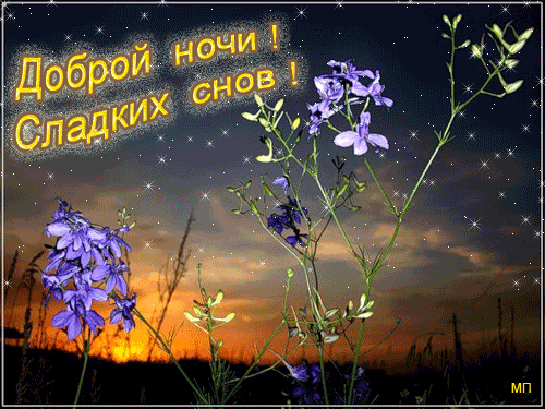 Доброго спокойного вечера весны. Доброй весенней ночи. Доброй ночи весенней ночи. Чпокойнойвесенней ночи. Доброй первой весенней ночи.