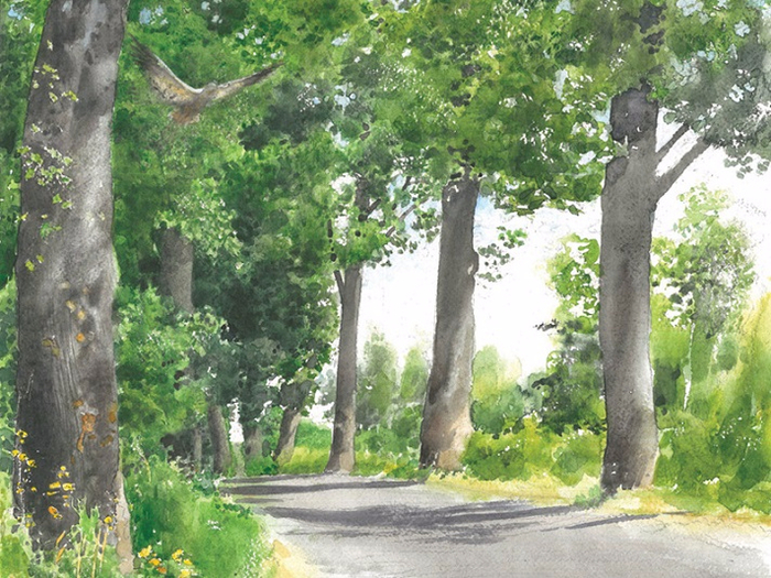 c021 (700x525, 489Kb)