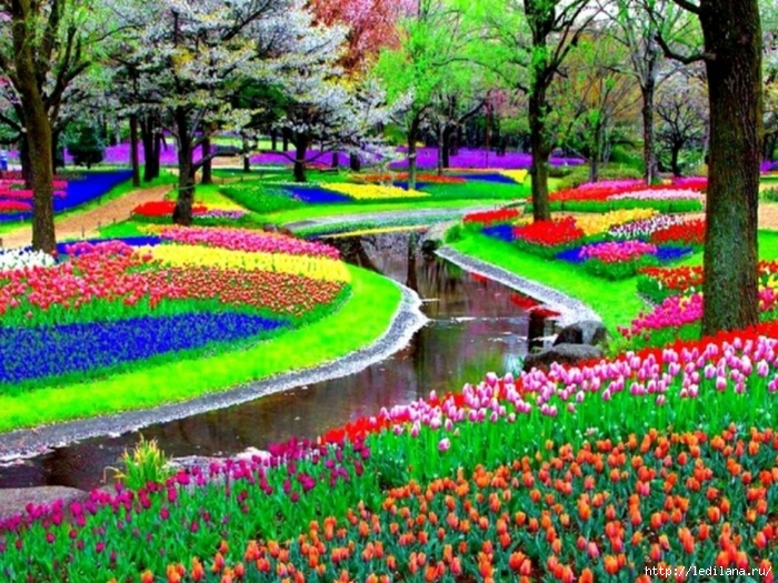 3925311_Park_cvetov_Kekenhof_Niderlandi_15 (700x525, 386Kb)