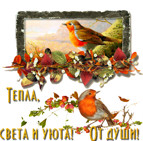   (500x494, 292Kb)
