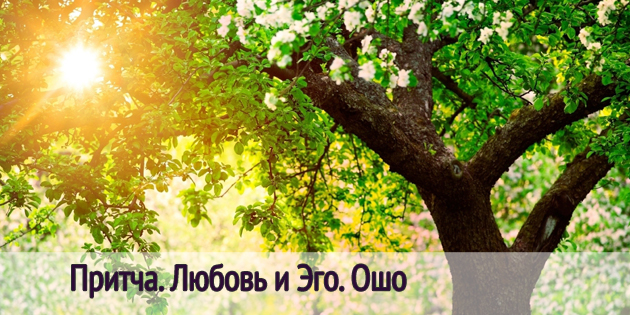 pritcha-lyubov-i-ego-osho (630x315, 254Kb)