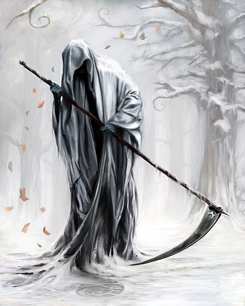    (480x600, 57Kb)