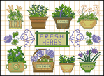  Dimensions 73497 - Fresh herbs (378x276, 222Kb)