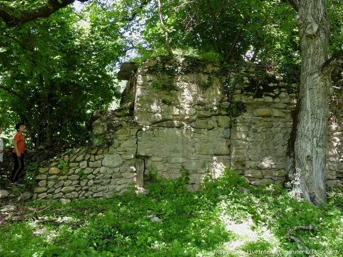 DSCN6182 (700x525, 482Kb)