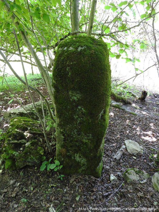 DSCN6187 (525x700, 464Kb)
