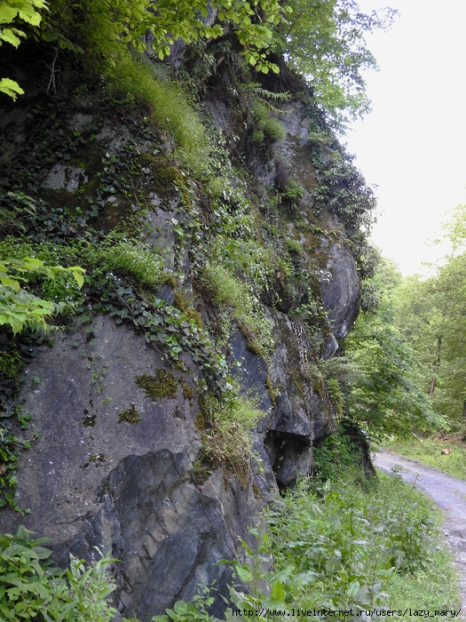 DSCN6289 (525x700, 425Kb)