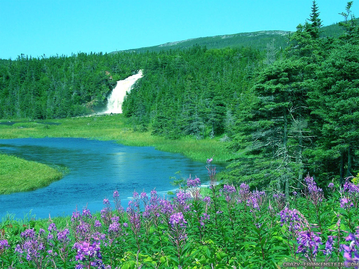 hidden-falls-summer-in-canada-wallpapers-1024x768 (700x525, 602Kb)