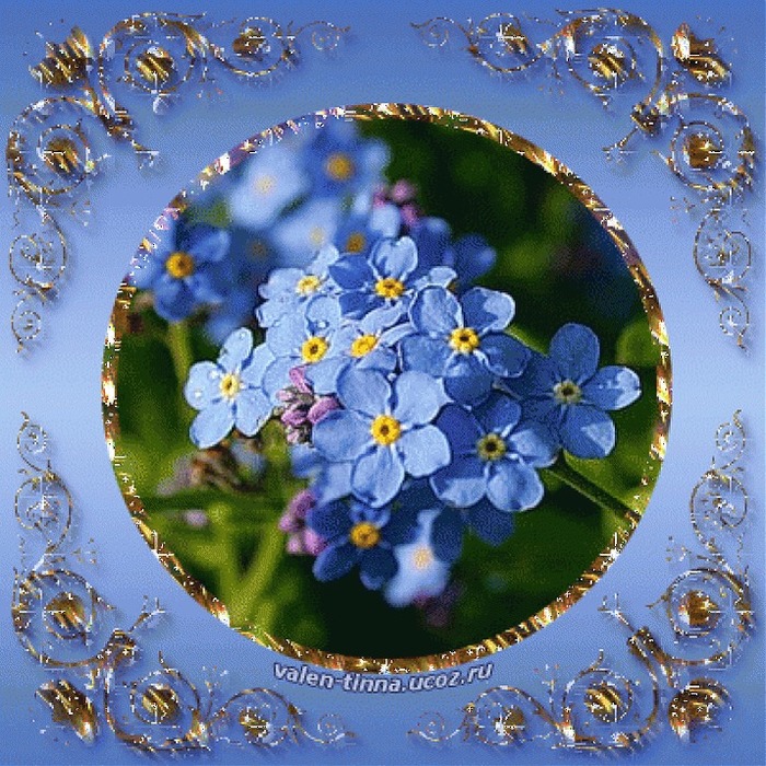 p_e8020f2c.jpg1 (700x700, 211Kb)