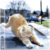 93820_793_16506 (100x100, 21Kb)