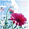 0eb919c68b33t (100x100, 21Kb)