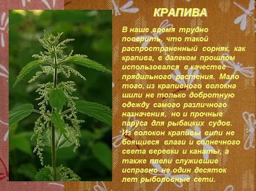 image (500x374, 233Kb)
