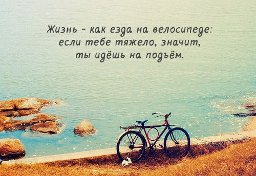 5 (500x344, 180Kb)