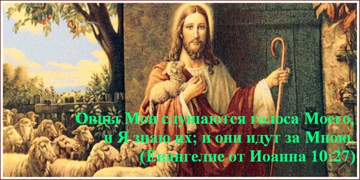 6098670_foto13_pastir_i_ovci (700x350, 63Kb)
