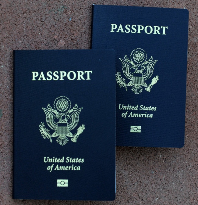4878453_pasport2 (650x672, 174Kb)