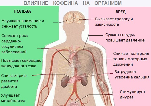 13 (500x350, 193Kb)