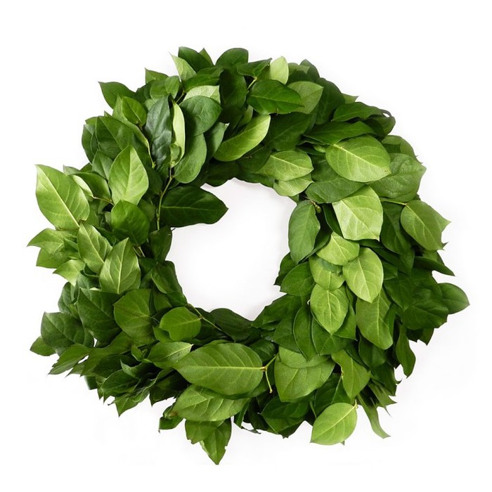 3340980_salal_wreath (700x700, 92Kb)