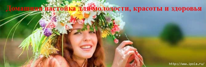 alt="   ,   "/2835299_Domashnyaya_nastoika_dlya_molodosti_krasoti_i_zdorovya_3_ (700x230, 126Kb)