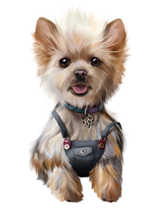 6217362_Ari5 (540x700, 346Kb)
