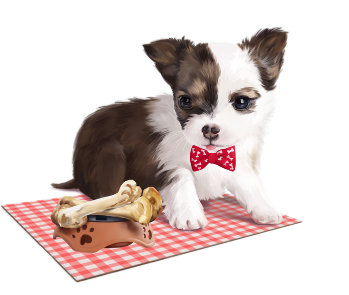 6217362_brunch6_resultaat (700x591, 312Kb)