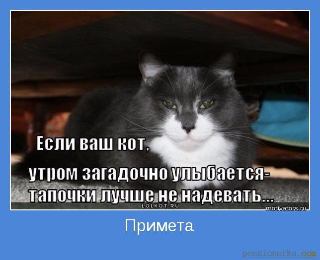 http://img0.liveinternet.ru/images/attach/d/1/136/19/136019336_286590e0ef1a8ac250d55ec206a689fe.jpg