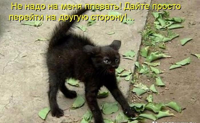 http://img0.liveinternet.ru/images/attach/d/1/136/19/136019340_post80730518657001451248475.jpg