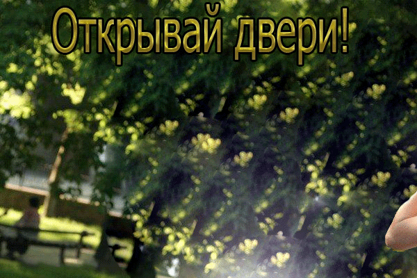 Аним. С днем рожд. женщине Мужч. с роЕами (600x400, 1202Kb)