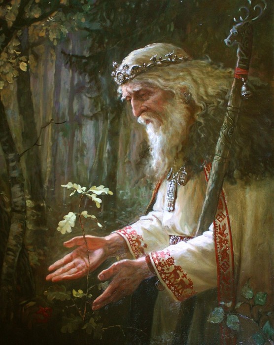 6098670_foto6_Svyatost_Drevnih_Slavyan (556x700, 98Kb)