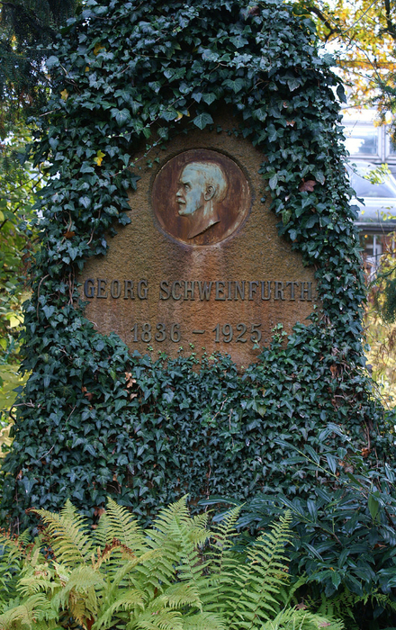 Georg_Schweinfurth_tombstone_at_Berlin (440x700, 567Kb)