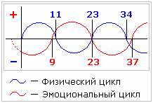 6098670_ (218x147, 1Kb)