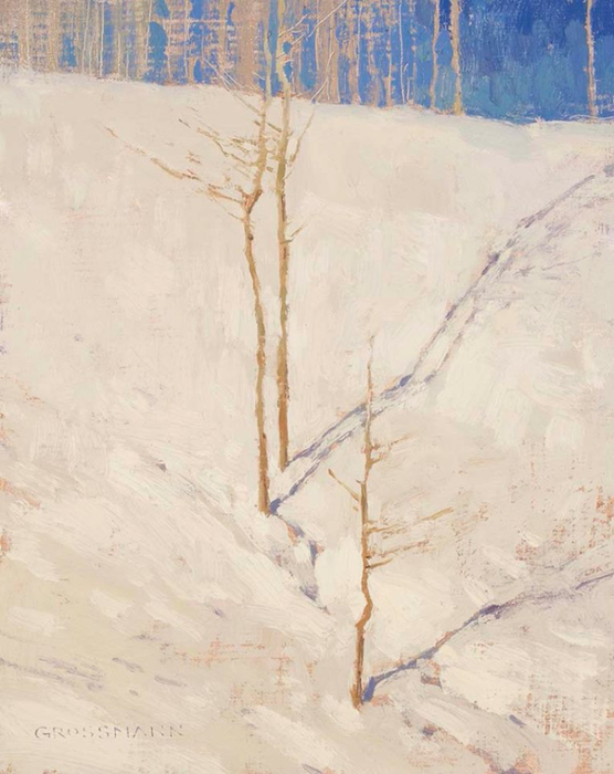 Saplings and Shadows on a Bright Winter Morning (556x700, 305Kb)