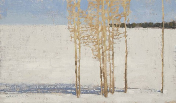 Aspen and Shadows on Bright Snow (700x408, 226Kb)