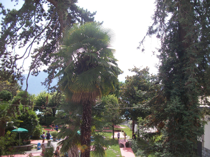 image (32) (700x525, 499Kb)
