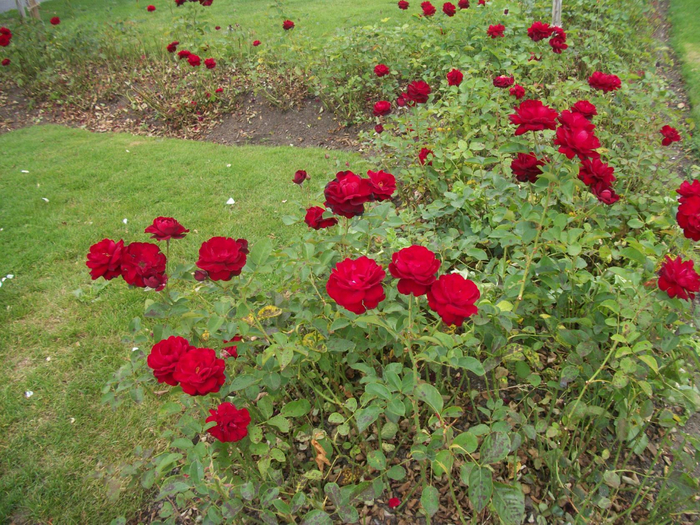 image (12) (700x525, 588Kb)