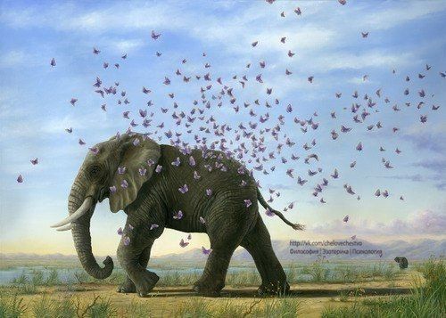 BqVsGHKU3rA (500x357, 42Kb)