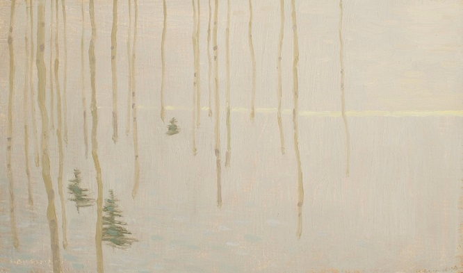 Tree Patterns with Fading Winter Light (666x393, 171Kb)