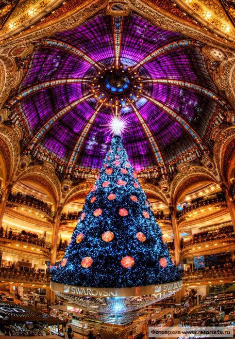 782__x_best-christmas-tree-paris-lafayette-05 (484x700, 645Kb)
