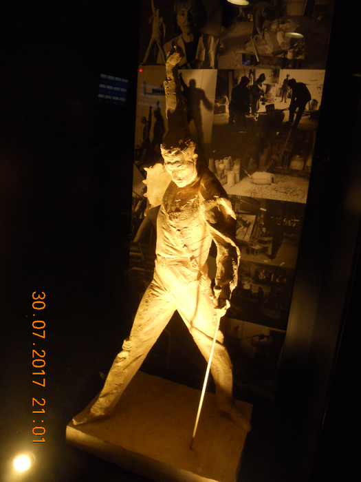 DSCN7132 (525x700, 375Kb)