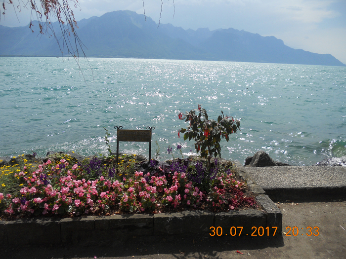 DSCN7098 (700x525, 542Kb)