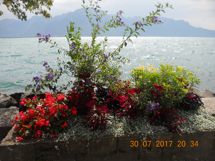 DSCN7099 (700x525, 586Kb)