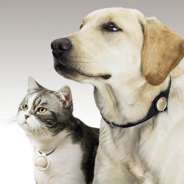 Petkit-Pet-Activity-Cat-Dog-600x600 (600x600, 51Kb)