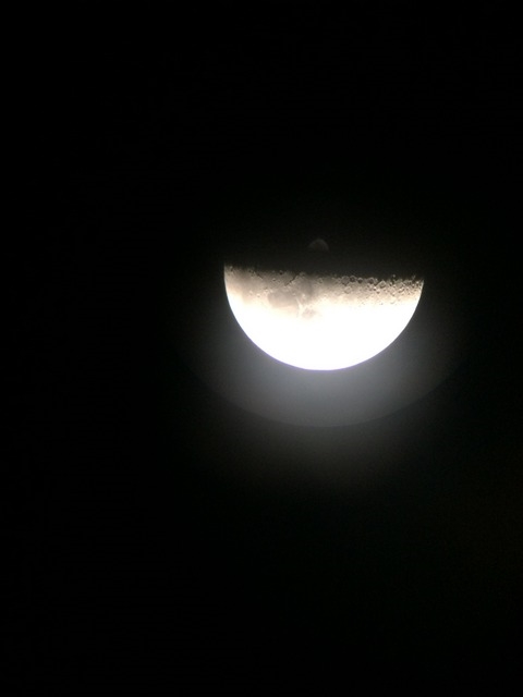 IMG_2754 (480x640, 48Kb)