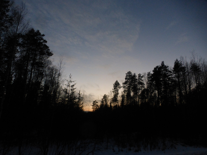 P1360784 (700x525, 286Kb)