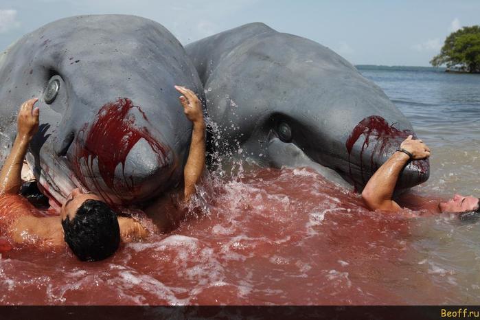 Two-Headed-Shark-Attack4 (700x466, 52Kb)