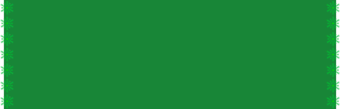 90 зеленый с зелен снежинк (700x224, 27Kb)